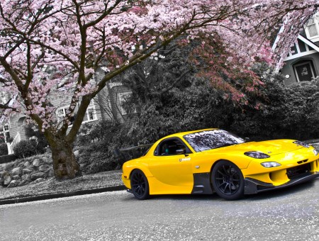 Yellow Coupe Near Trees And Bushes