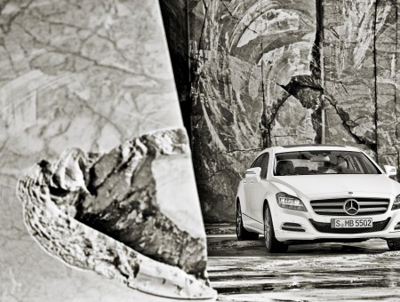 White Mercedes Benz Car In A Black And White Environment