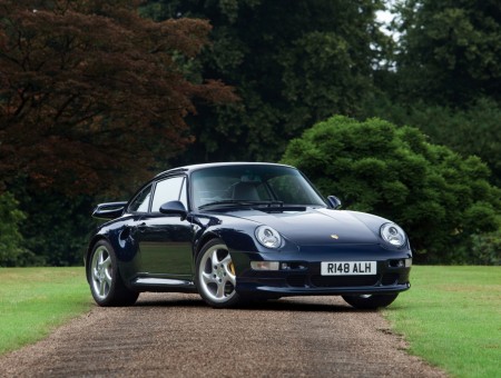 Blue Porsche 911 Turbo On A Green Lawn On A Sunny Day