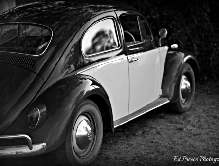Volkswagen Beetle In Grayscale Photography