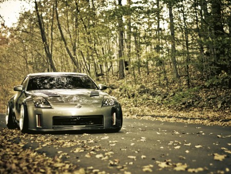 Gray Nissan 350z On Road With Withered Leaves
