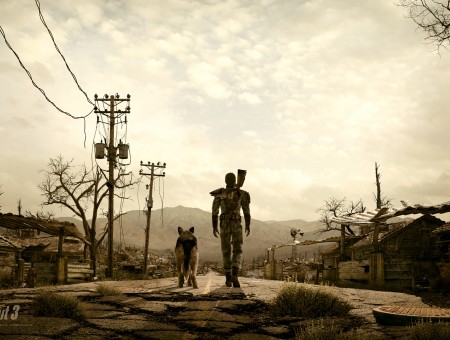 Fallout Lone Wanderer