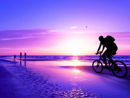 Silhouette Of Man Riding Bicycle Beside Sea During Daytime