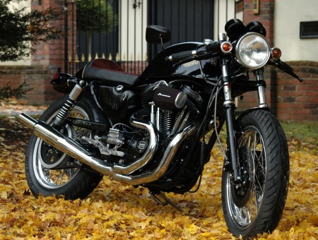 Black And Silver Motorcycle On Yellow Grass Field During Daytime