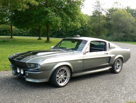 Silver And Black Ford Mustang Shelby GT500 Eleanor