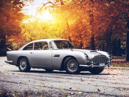 Silver Aston Martin Db5 On Road During Sunset