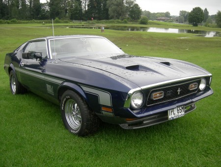 Blue Ford Mustang Fastback On Green Grass