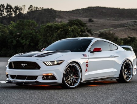 White Ford Mustang Gt 2015
