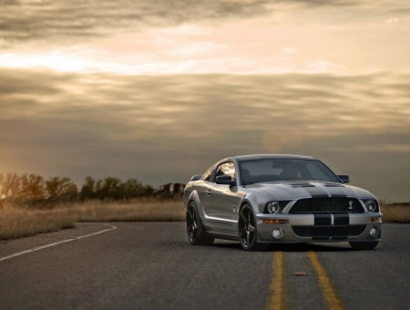 Grey Ford Mustang Shelby Gt350 On Road