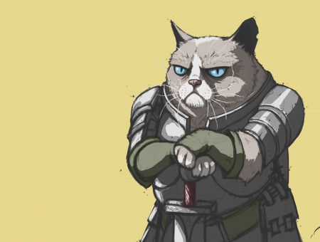 Grumpy Cat In Armour