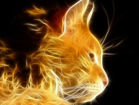 Yellow Fire Cat
