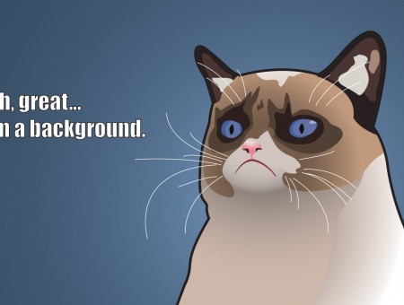 Oh Great... Im A Background Siamese Cat Illustration