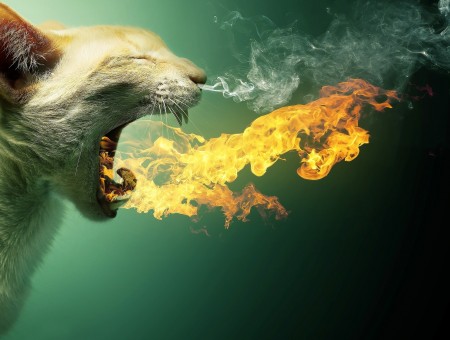 White Cat Breathing Fire