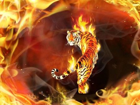 Black And Brown Lion On Fire