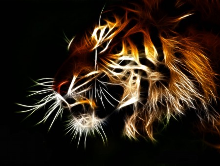 Black Tan Tiger Artwork