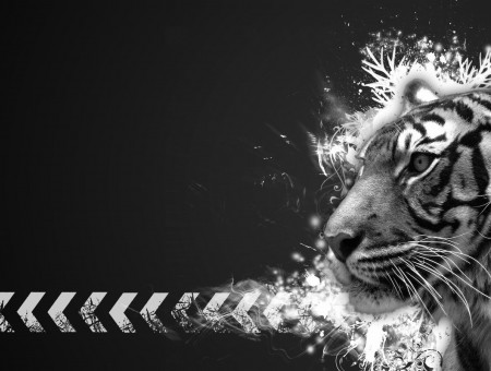 Tiger In Grayscale