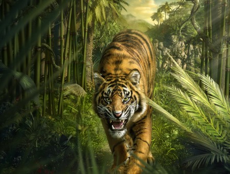 Bengal Tiger Walking On Forest During Daytime