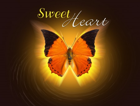 Sweet Heart Text Over Orange And Black Butterfly