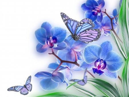 Blue Butterflies Perch On Blue Flowers Illustration