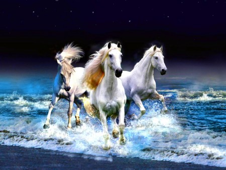 3 White Horses In Beach Painting