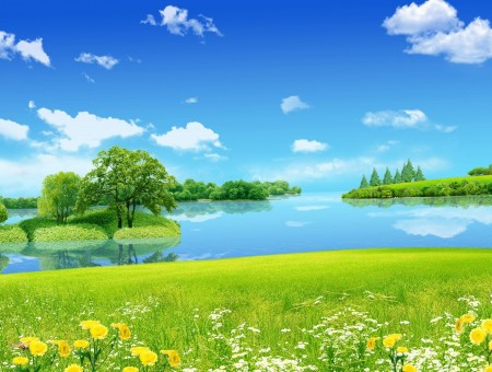 Green Flower Field Near River Under Blue Sky During Day Time