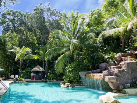 Outdoor Swimming Pool Near Palm Trees