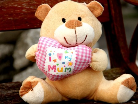 I Miss My Mum Teddy Bear On Park Bench