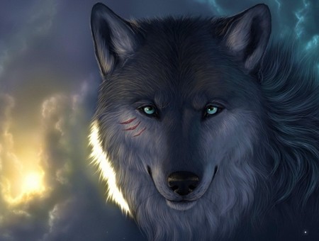 Gray And White Wolf Illustration
