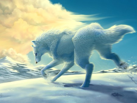White Wolf Illustration