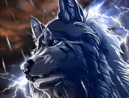 Blue Wolf Picture With Brown Background