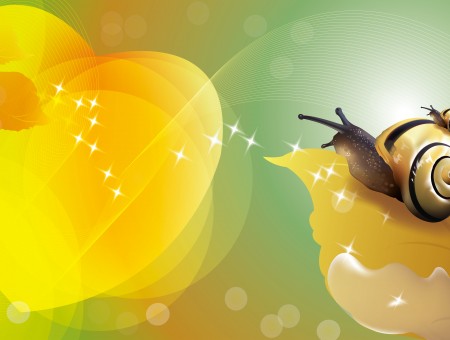 Yellow And Brown Snail On Brown Leaf