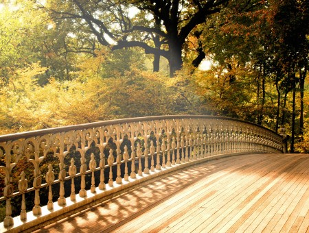 Brown Wooden Bridge With Green Trees