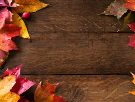 Red And Yellow Maple Leaves On Brown Wood Planks