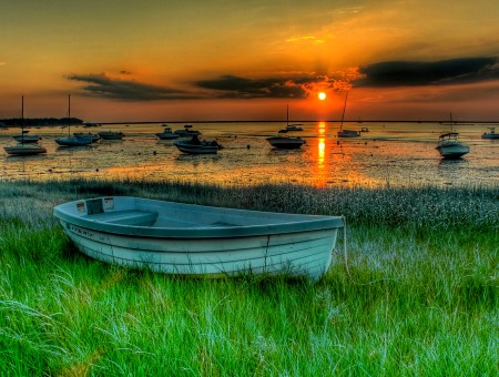 White And Gray Boat On Green Grass