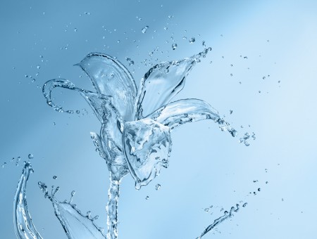 Water Splash In The Shape Of A Flower