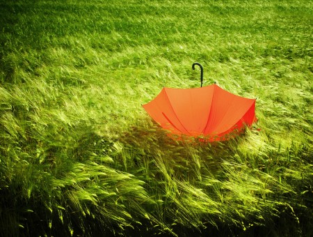 Orange Umbrella On Green Grass Field