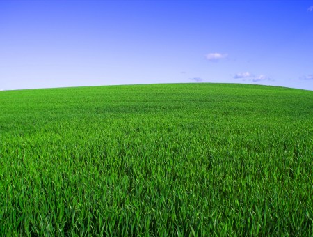 Green Grass Field Beneath Blue White Cloudy Sky