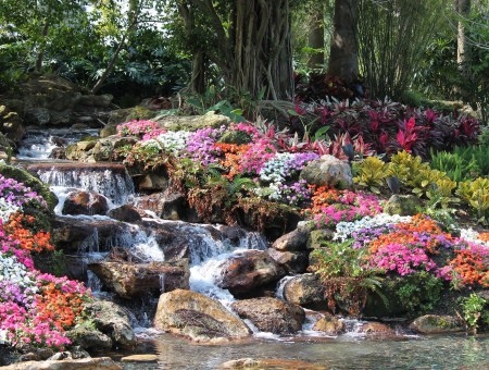 Photo Of Water Falling On Bed Of Rock Between Of Bed Of Flowers Outdoor