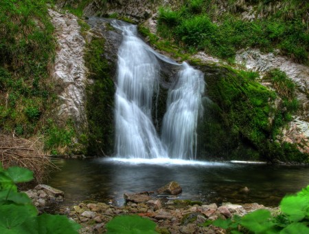 Waterfalls Near Green Plants During Daytime