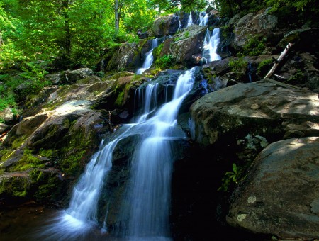 Waterfalls On Rocks Near Trees During Daytime