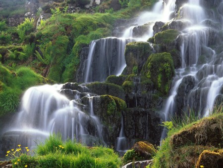 Waterfalls In The Mountain