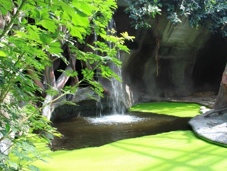 Green Leaved Tree Near Waterfalls During Daytime