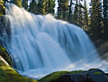 Water Falls Near In Green Trees During Daytime
