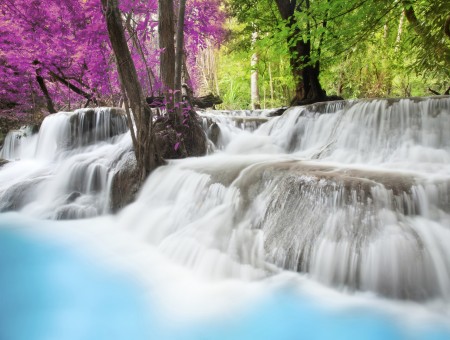 Water Falls Near In Green And Purple Tree During Daytime