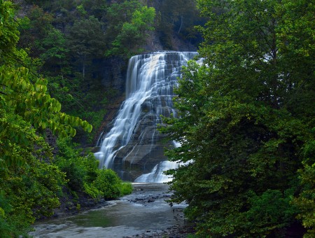 Waterfalls Near Trees During Daytime