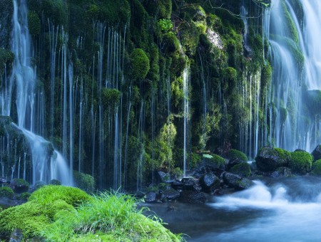 Green Trees Near Waterfalls