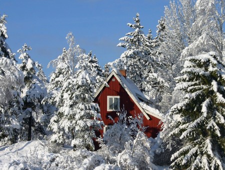 Red Cabin With White Roof Covered With Snow
