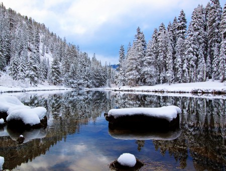 Black Snow Covered Rock On Body Of Water Near Pine Trees During Dayime