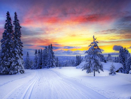 Yellow Red Orange Sky On A Snow Cover Pathway Surrounded With Tree Covered In Snow