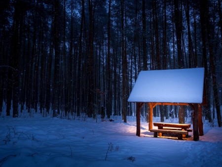 Brown Wooden Shed With Table And Bench In Snowy Woods